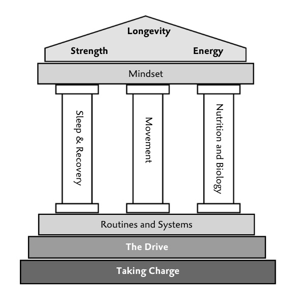 Your Body Is Your Temple — Health by Habit framework